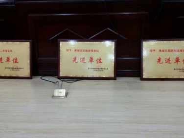 先進(jìn)單位